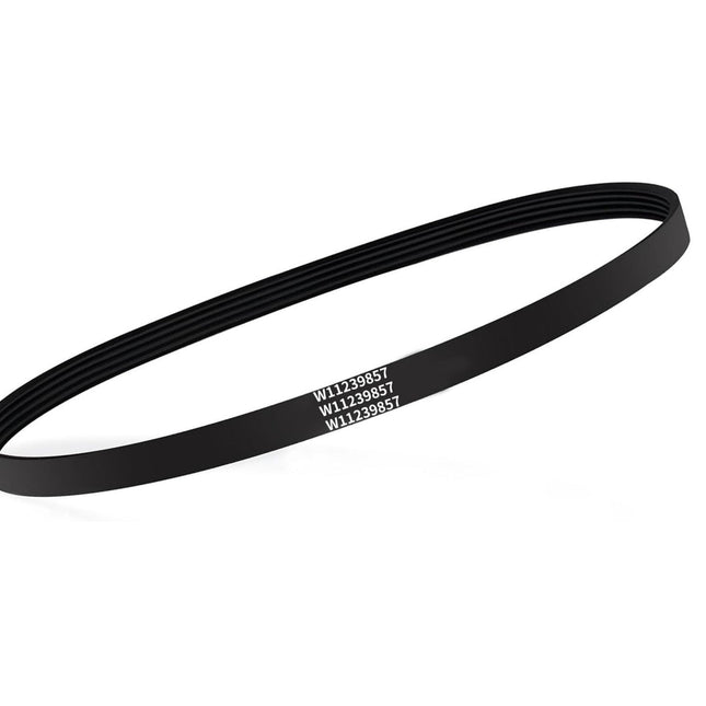 XPARTCO W11239857 Washer Drive Belt  Parts-O-Matic