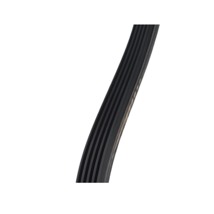 XPARTCO WH01X27538 Washer Drive Belt  Parts-O-Matic