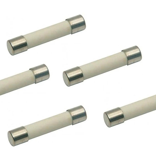 (5 Pack) EXP15A Ceramic Microwave Fuse, Fast Blow 15A Exact Replacement Parts