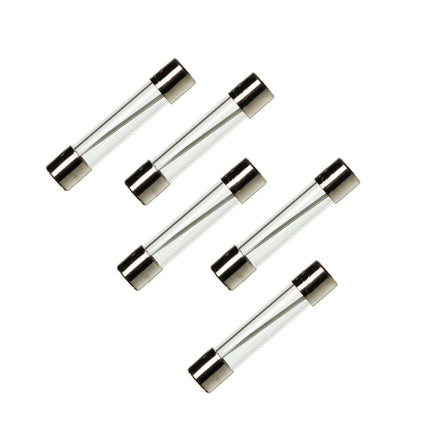 (5 Pack) EXP20AG Glass Line Fuse, Fast Blow,  20A  Parts-O-Matic