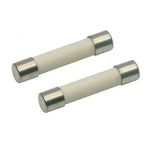(2 Pack) EXP20A 20A Line Fuse (Fast Blow) Exact Replacement Parts